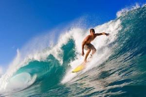 leyu.com-凯尔特人延续恐怖统治力双探花状态火热，集锦凯尔特人